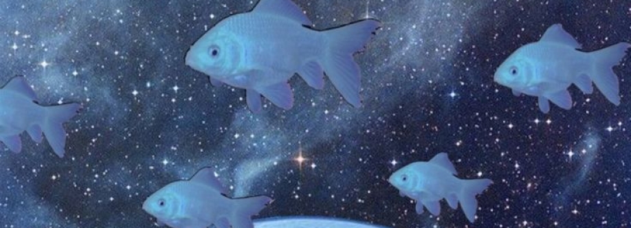 NoahSgMilk Cover Image