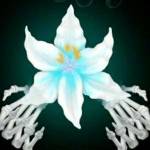 MariCM12 profile picture