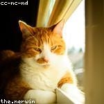 Reta Baumbach Profile Picture