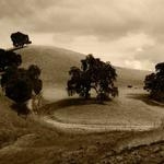 Adah Emmerich Profile Picture