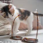 Brooke Greenholt Profile Picture