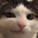 Golden Varsher profile picture