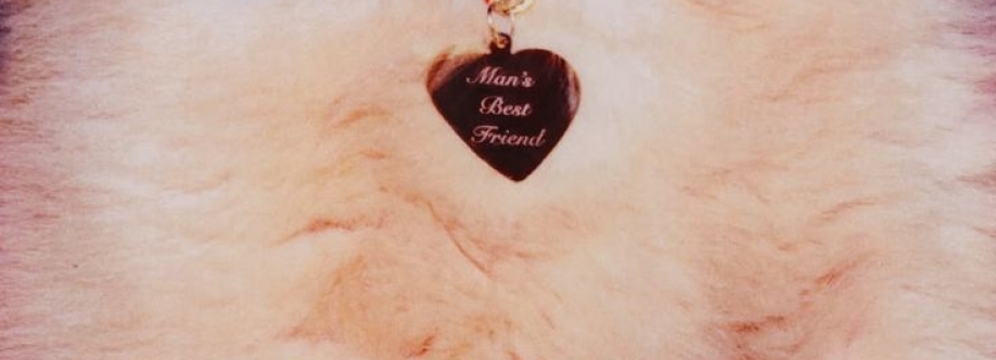 Blossom Rosewood Cover Image