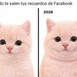 Alexis Merlin profile picture