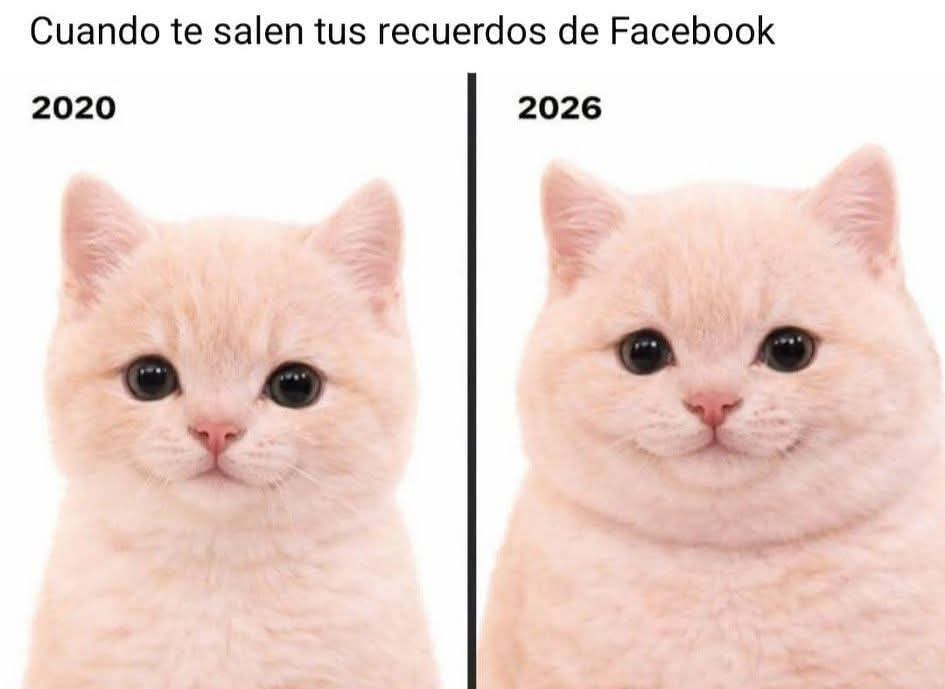 Alexis Merlin Profile Picture