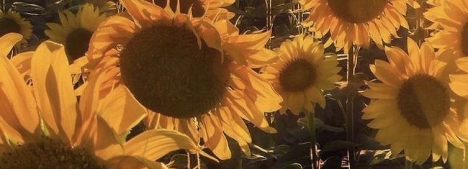 Jessica Lioncourt Cover Image