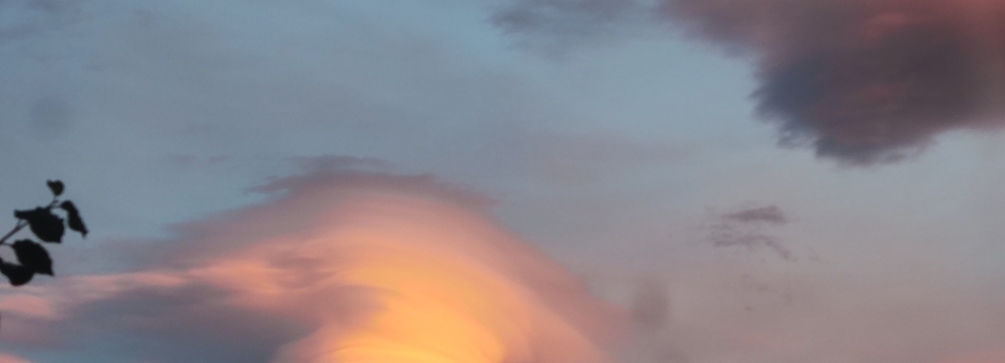 Amalia Mizu Cover Image