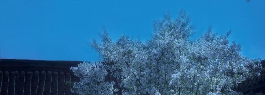 Leah Wang Cover Image