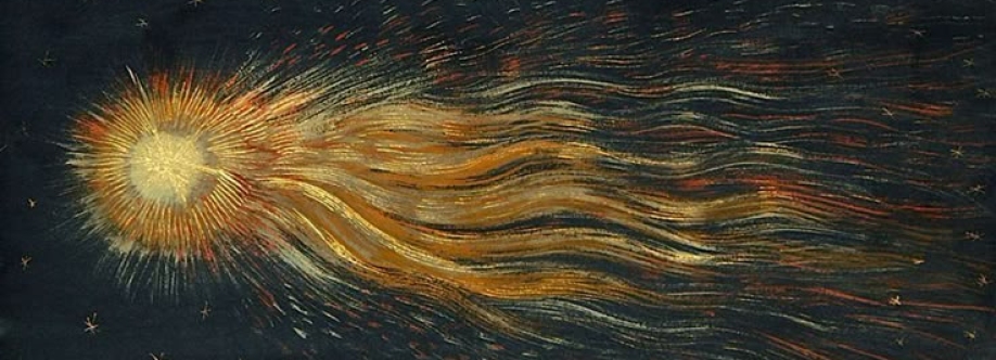 Harper Feinberg Cover Image