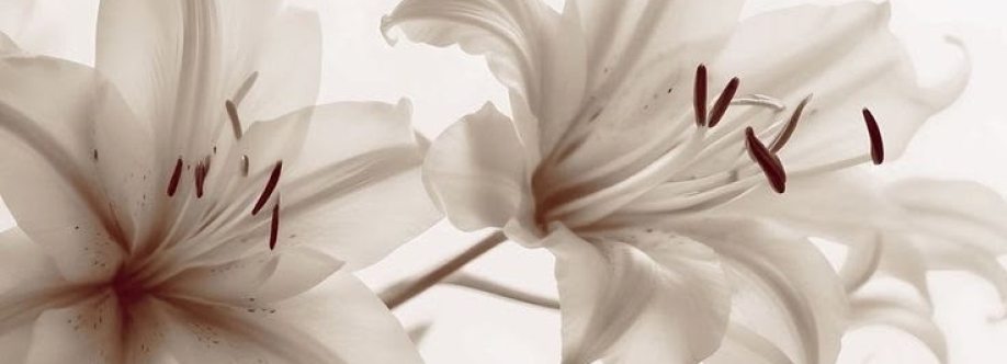 Marlena Russell Cover Image