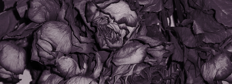 Evan Cover Image