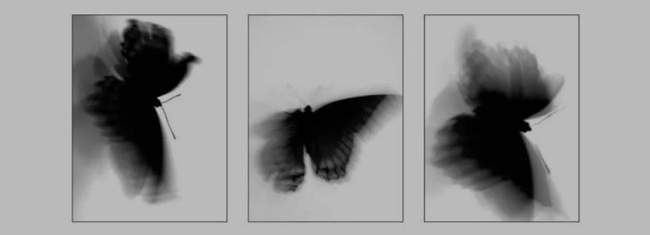 Phoenix Cover Image