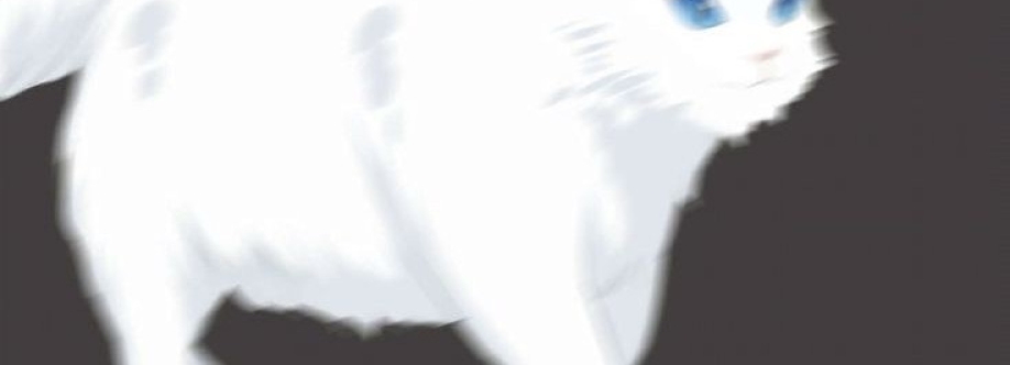 Jumin Han Cover Image