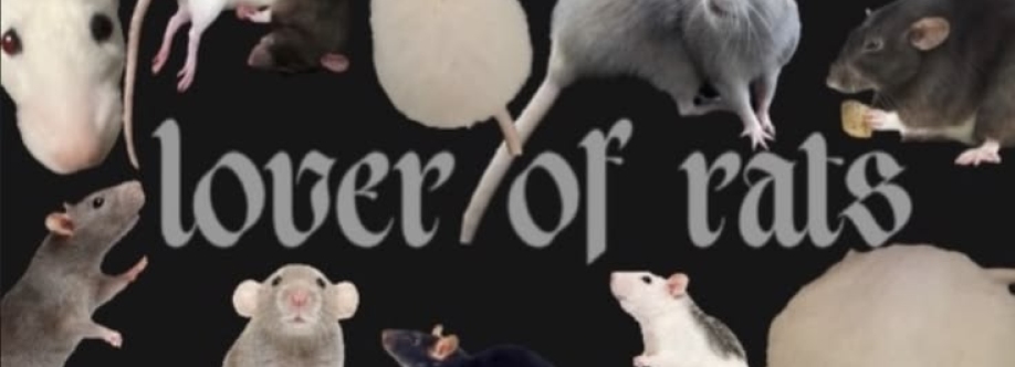 RatPrincess Cover Image