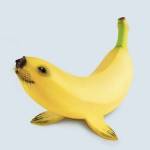 cristian Asto Profile Picture