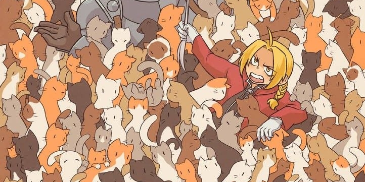 Hey! It's Hayden✨
