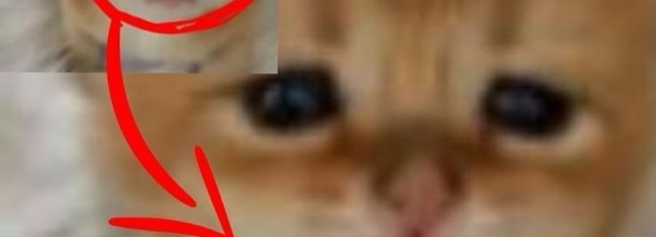 Mitys Cover Image