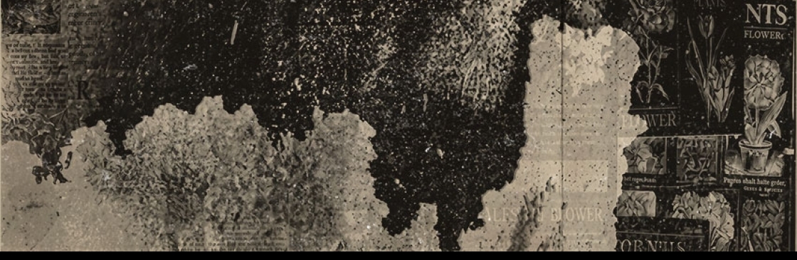 Bellatrix Black Cover Image