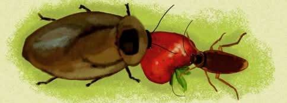 Cuca La Cucaracha Cover Image