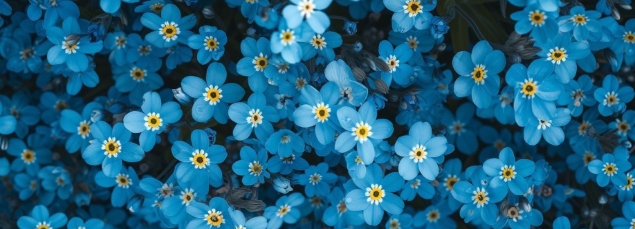 Hiroaký Cover Image