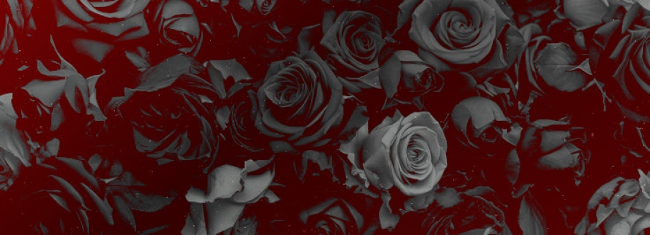Soleil Etoilé. Cover Image