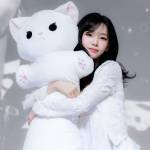 천상 Profile Picture