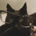 Mokan Profile Picture