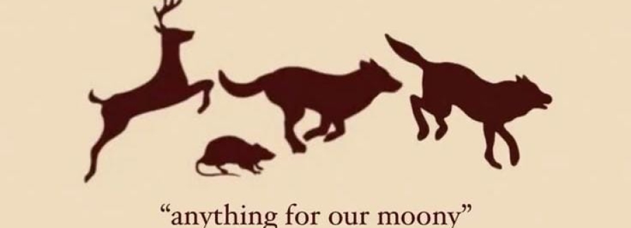 James Potter Cover Image