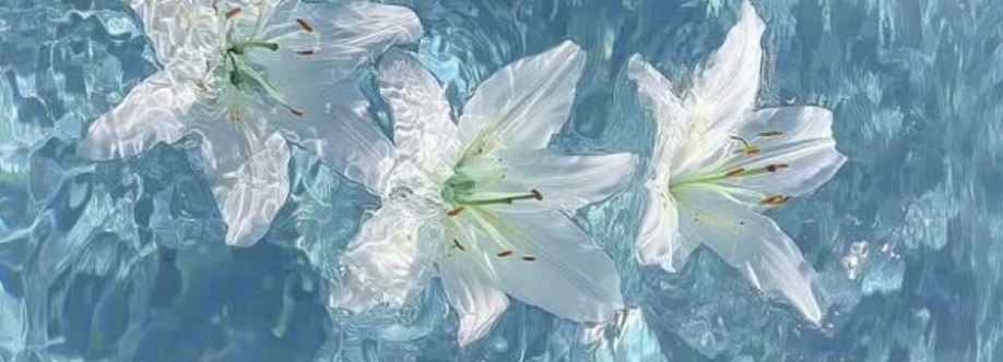Camila Jones Cover Image