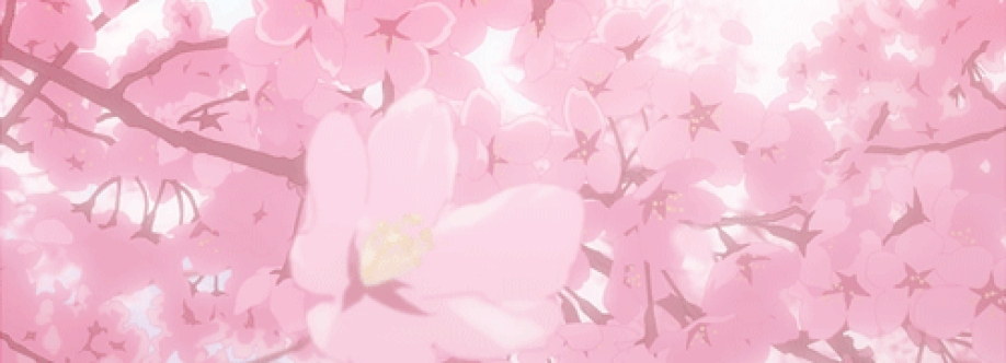 Cici Cover Image