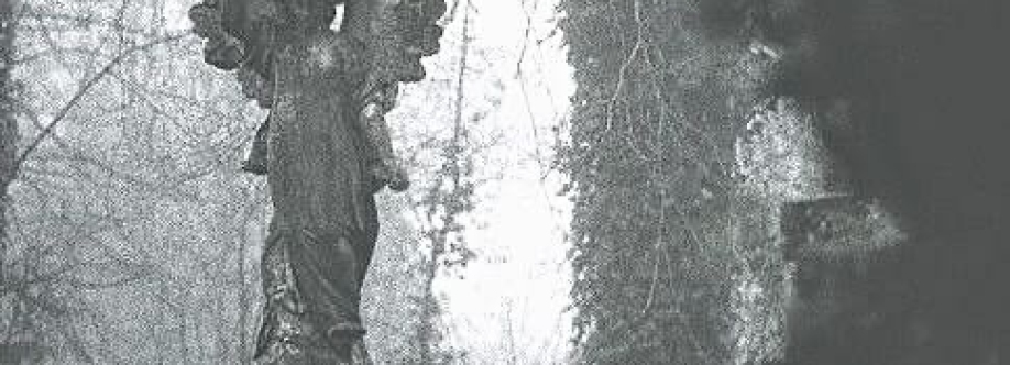 solemne omnimux Cover Image