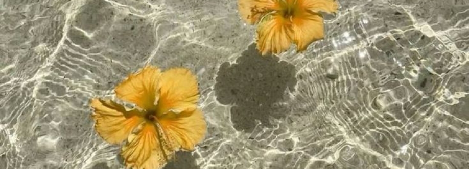 선우 Cover Image