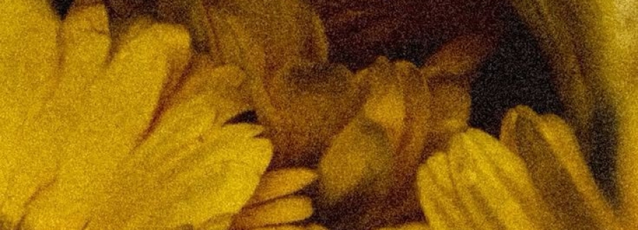 Paradox Vesper Cover Image