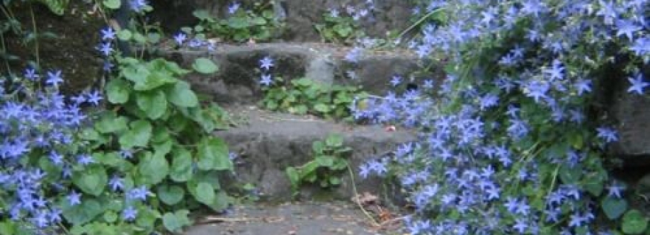 Avery Harris Cover Image