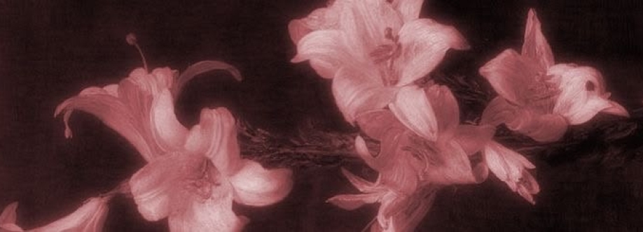 Josette Sorni Cover Image