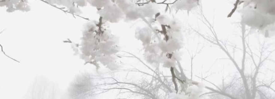Ánima Cover Image