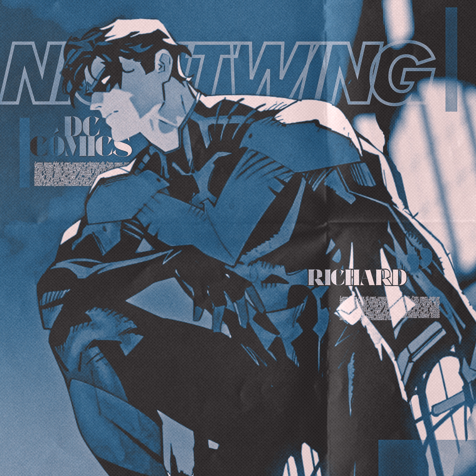 Dick Grayson Profile Picture