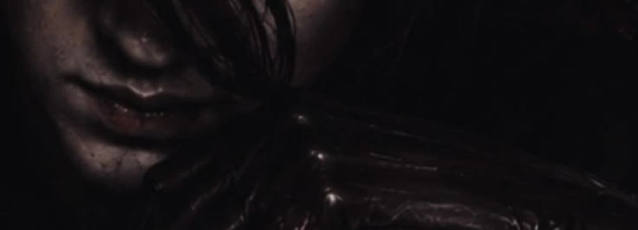 Sven Cover Image