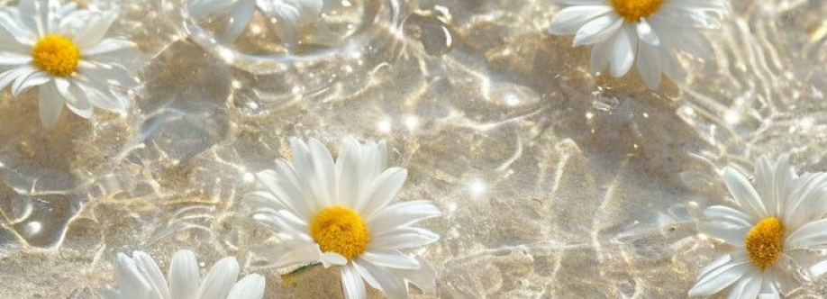 Maggie Dupont Cover Image