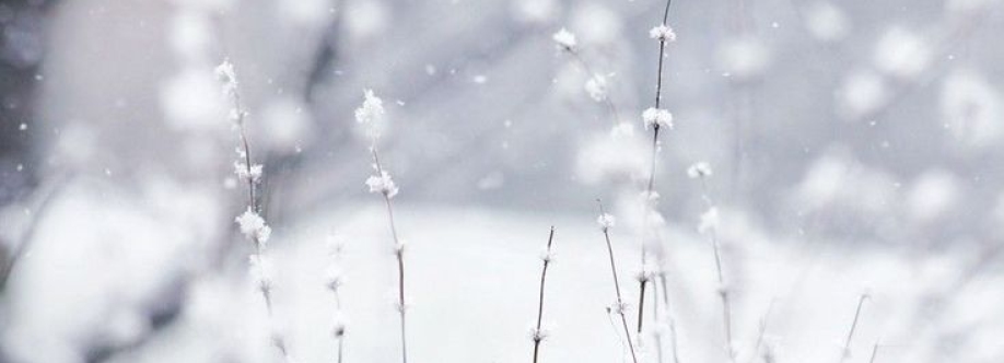 채원 Cover Image