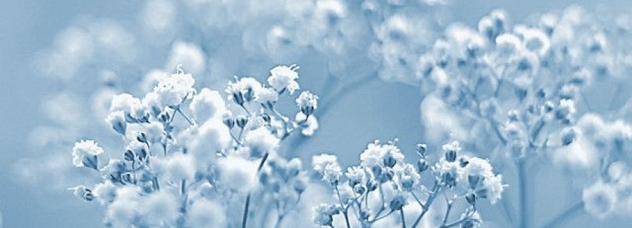 Ophelia Bellrose Cover Image