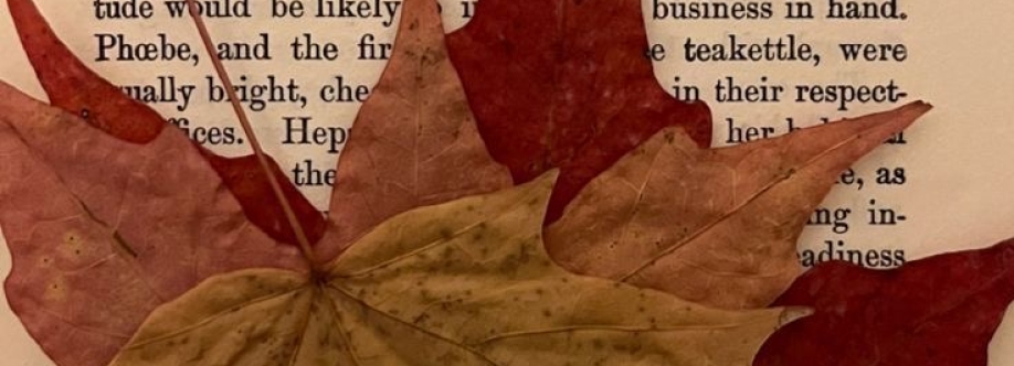 서 메그 Cover Image