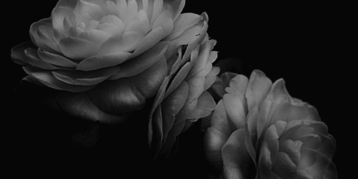 Camelias Blancas.