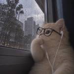 Iris Profile Picture