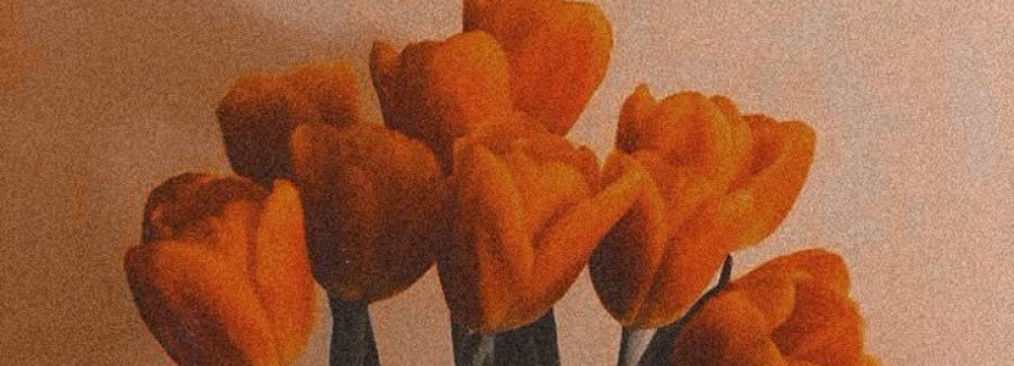 Charlotte Hayes Cover Image